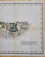 Load image into Gallery viewer, 1906 - Molokai Antique Map Genuine Colored