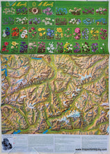 Load image into Gallery viewer, Genuine-Antique-Map-Touring-Map-of-St-Moritz-1935-Official-Enquiry-Office-of-St-Moritz-Maps-Of-Antiquity