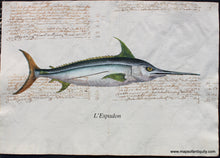 Load image into Gallery viewer, Specialty-Reproduction-L'Espadon-swordfish-Reproduction-on-Antique-Paper-Digitally-Engraved-Specialty-Reproduction---Reproduction-Maps-Of-Antiquity
