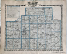 Load image into Gallery viewer, 1876 - Tazewell County; Verso: Mclean County Illinois Antique Map Genuine Printed-Color