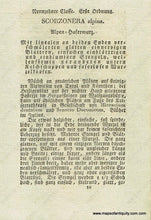 Load image into Gallery viewer, 1828 - Scorzonera Alpina Hopp. Or Alpine Dandelion Botanical Illustration Antique Print Genuine