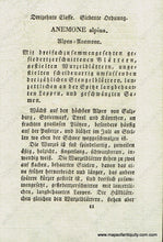 Load image into Gallery viewer, 1828 - Anemone Alpina L. Or Alpine Pasqueflower Botanical Illustration Antique Print Genuine