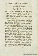 Load image into Gallery viewer, 1828 - Rhamnus Alpina L. Or Mountain Buckthorn Botanical Illustration Antique Print Genuine