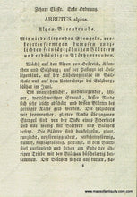 Load image into Gallery viewer, 1828 - Arbutus Alpina L. Or Mountain Bearberry Botanical Illustration Antique Print Genuine