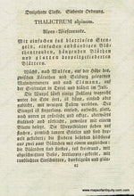 Load image into Gallery viewer, 1828 - Thalictrum Alpinum L. Or Alpine Meadow-Rue Antique Botanical Print Genuine Hand-Colored