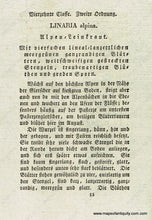 Load image into Gallery viewer, 1828 - Linaria Alpina Pers. Or Alpine Toadflax Antique Botanical Print Genuine Hand-Colored