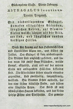 Load image into Gallery viewer, 1808 - Astragalus Leontinus Jacq. Or Milkvetch Antique Botanical Print Genuine Hand-Colored