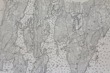 Load image into Gallery viewer, 1878 - Maine Damariscotta And Medomak Rivers Antique Chart Genuine Nautical