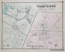 Load image into Gallery viewer, Antique Map with original hand-coloring in tones of yellow, green, pink.