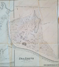 Load image into Gallery viewer, Antique-Map-Cape-May-City-New-Jersey-NJ-Sea-Grove-Cape-May-NY-New-York-1878-Woolman-Rose