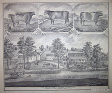 Load image into Gallery viewer, 1876 - Map Of Barker Township (Ny) Antique Genuine