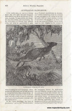 Load image into Gallery viewer, 1867 - Ballou’s Monthly Magazine: Scenes In Australia Antique Prints Genuine Print