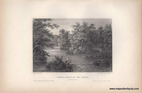 Genuine-Antique-Print-Forest-Scene-on-the-Lehigh-Pensylvania--1855-Appleton-Maps-Of-Antiquity