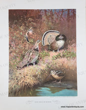Load image into Gallery viewer, 1944 - Game Birds by Lynn Bogue Hunt - Twelve Vintage Prints of Quail, Ducks, Grouse, and more (priced individually)