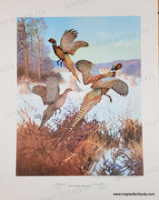 Load image into Gallery viewer, 1944 - Game Birds by Lynn Bogue Hunt - Twelve Vintage Prints of Quail, Ducks, Grouse, and more (priced individually)
