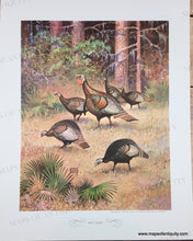 Load image into Gallery viewer, 1944 - Game Birds by Lynn Bogue Hunt - Twelve Vintage Prints of Quail, Ducks, Grouse, and more (priced individually)