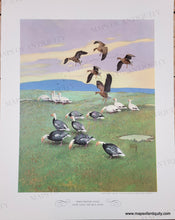 Load image into Gallery viewer, 1944 - Game Birds by Lynn Bogue Hunt - Twelve Vintage Prints of Quail, Ducks, Grouse, and more (priced individually)