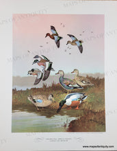 Load image into Gallery viewer, 1944 - Game Birds by Lynn Bogue Hunt - Twelve Vintage Prints of Quail, Ducks, Grouse, and more (priced individually)