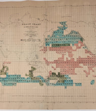 Load image into Gallery viewer, Whale Chart by M.F. Maury Print - Reproduction -