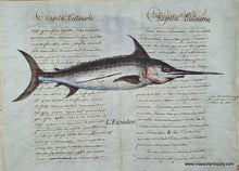 Load image into Gallery viewer, Red-Specialty-Reproduction-L'Espadon-swordfish-Reproduction-on-Antique-Paper-Digitally-Engraved-Specialty-Reproduction---Reproduction-Maps-Of-Antiquity