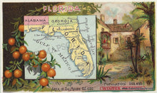 Load image into Gallery viewer, Antique-Chromolithograph-Arbuckle-Print-Prints-Florida-1890-1800s-19th-Century-Maps-of-Antiquity