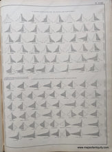 Load image into Gallery viewer, 1874 - Charts Showing The Distribution By Age And Sex Of Population United States Antique Map
