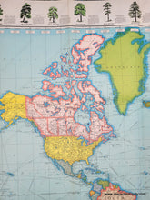 Load image into Gallery viewer, 1968 - Untitled World Map With Trees Of The United States Vintage Genuine
