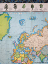 Load image into Gallery viewer, 1968 - Untitled World Map With Trees Of The United States Vintage Genuine