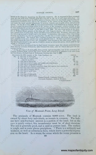 Genuine-Antique-Illustration-View-of-Montauk-Point,-Long-Island-(NY)-1841-Barber-Maps-Of-Antiquity