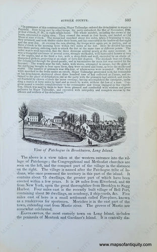 Genuine-Antique-Illustration-View-of-Patchogue-in-Brookhaven,-Long-Island-(NY)-1841-Barber-Maps-Of-Antiquity