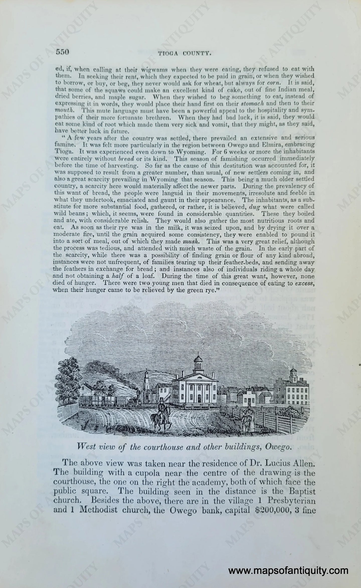 Genuine-Antique-Illustration-West-view-of-the-courthouse-and-other-buildings,-Owego-(NY)-1841-Barber-Maps-Of-Antiquity