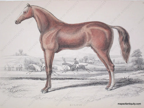 Antique-Hand-Colored-Natural-History-Print-Eclipse-Pl.-9-(Horse)-******-Animals--1843-Jardine-Maps-Of-Antiquity