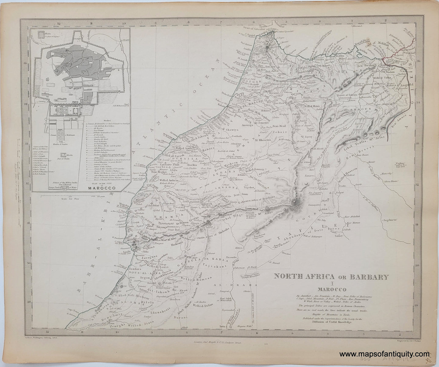 1850 - North Africa or Barbary I, Morocco - Antique Map