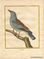 Genuine-Antique-Print-European-Roller-Le-Rollier-1770-circa-Francois-Nicolas-Martinet-Maps-Of-Antiquity