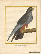 Genuine-Antique-Print-A-rare-Hobby-Variete-singuliere-du-Hobreau-1770-circa-Francois-Nicolas-Martinet-Maps-Of-Antiquity