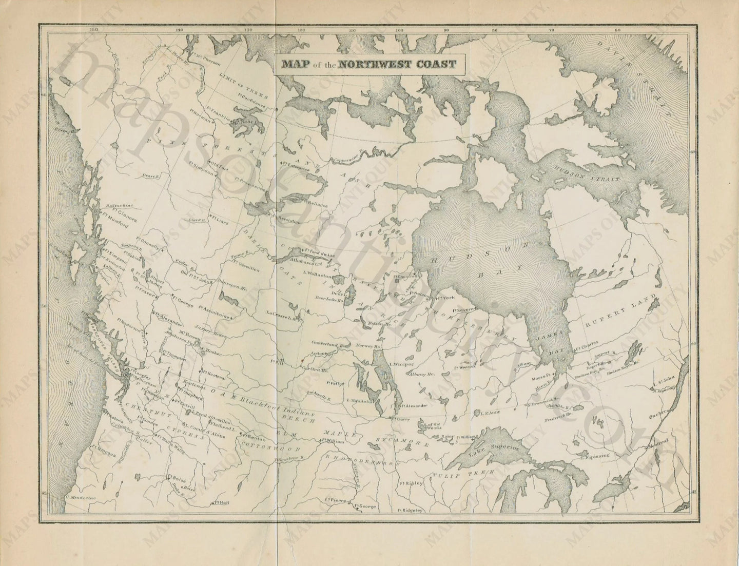 Antique-Map-Northwest-Coast-Canada-1884-1880s-1880s-19th-century-Maps-of-Antiquity