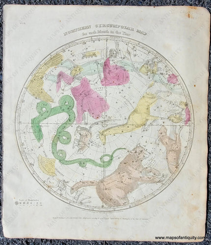 Chart showing illustrated depictions of the constellations colored in tones of pink, green, yellow, and brown, with blue for the milky way. CEL013-Northern-Circumpolar-Map-for-each-Month-of-the-Year-constellation-star-chart-Ursa-Major-Cassiopeia-Perseus-Cepheus-Draco-1835-Burritt-1830s-1800s-19th-century-Maps-of-Antiquity