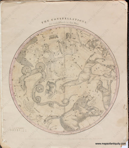 Genuine-Antique-Northern-Circumpolar-Map-Burritt-Celestial-1856-Stars-Constellations