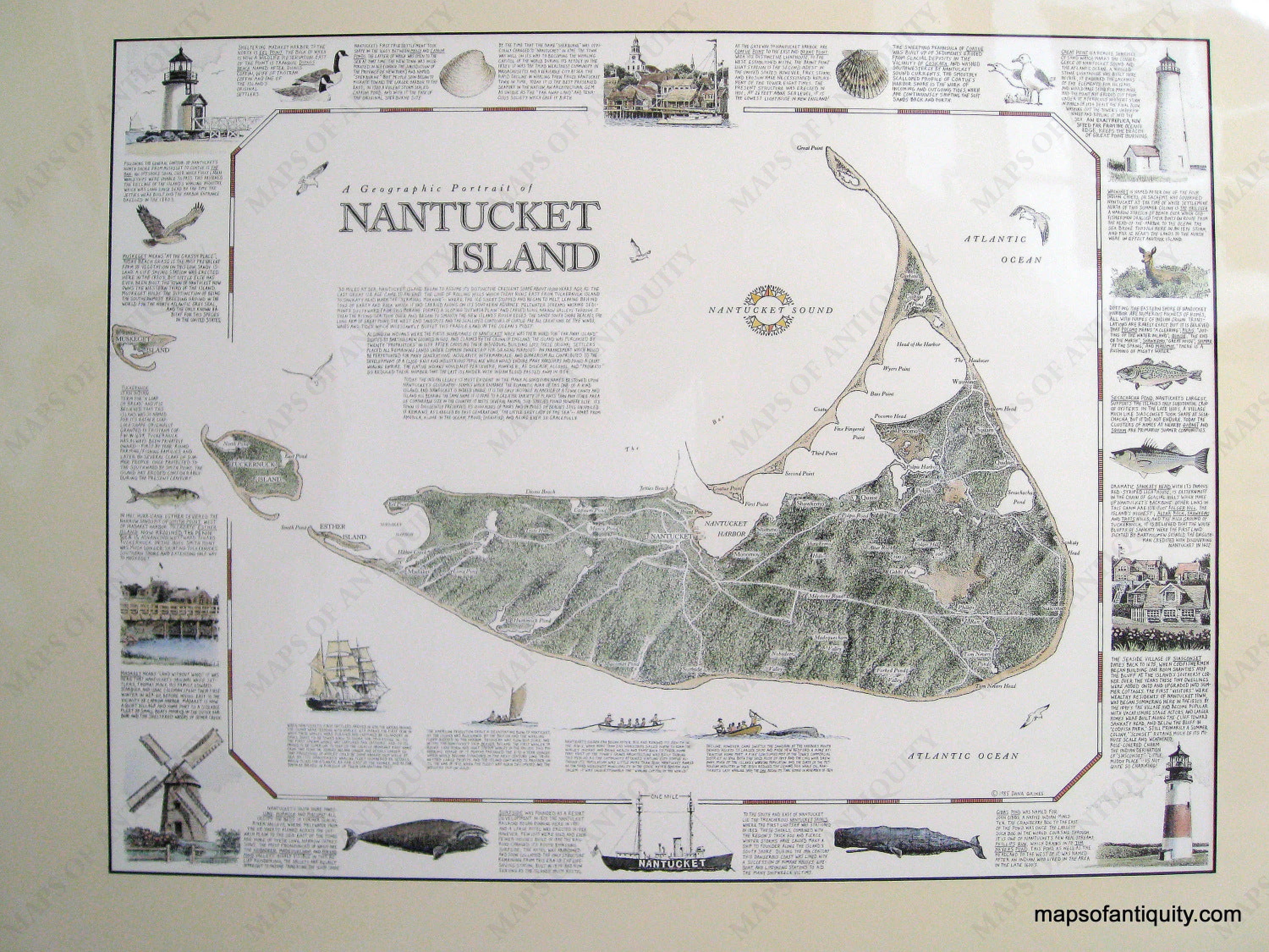 A Geographic Portrait of Nantucket Island Massachusetts - Modern – Maps ...