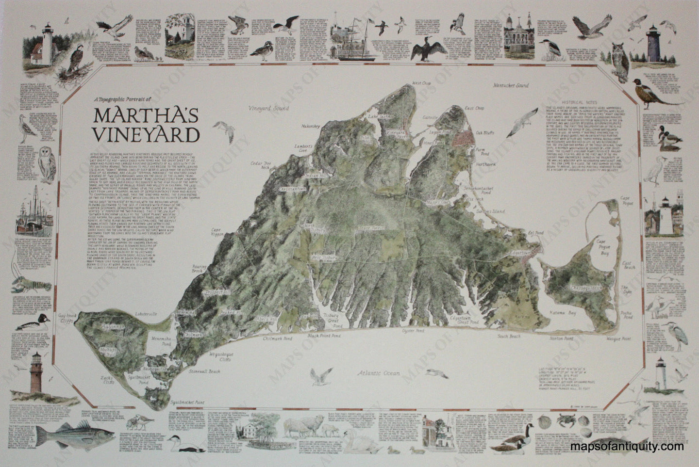 Hand-Colored-Printed-Map-A-Topographic-Portrait-of-Martha's-Vineyard--Massachusetts-Martha's-Vineyard-1985-Dana-Gaines-Maps-Of-Antiquity