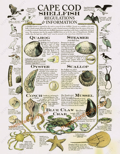 Cape-Cod-Shellfish-Print-Hand-Colored