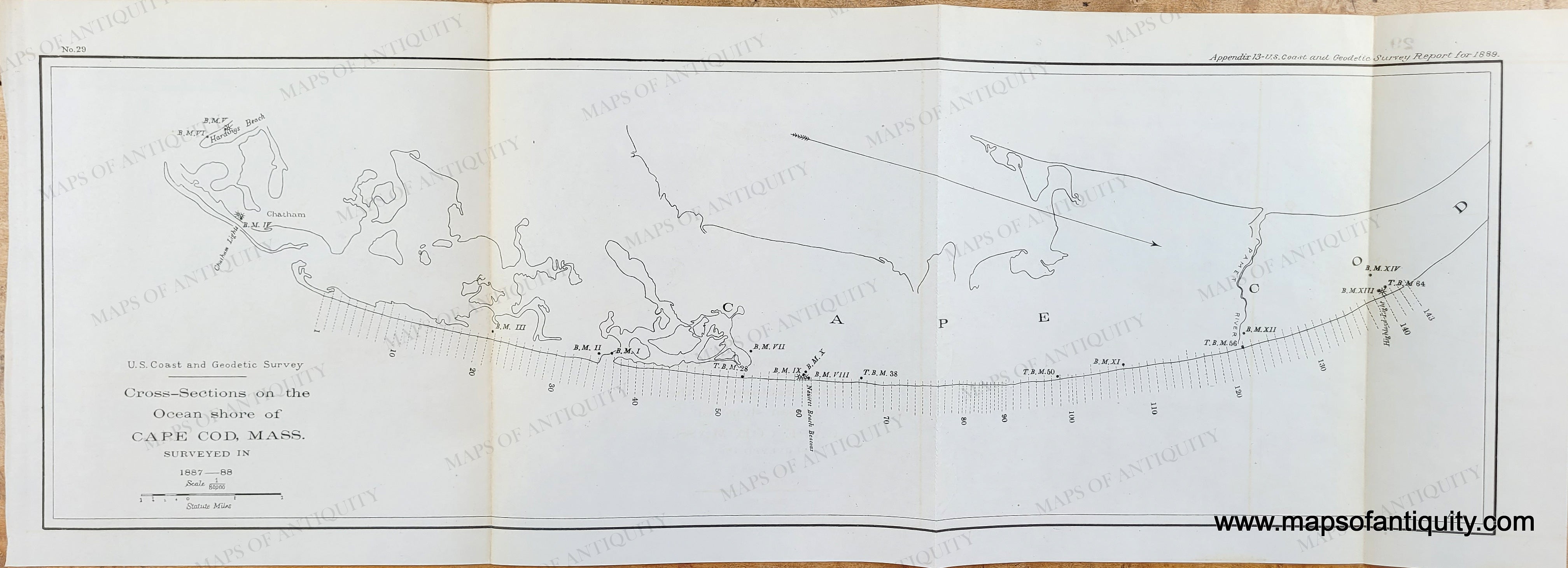 1889 - Cross-Sections on the Ocean shore of Cape Cod, Mass - Antique C ...