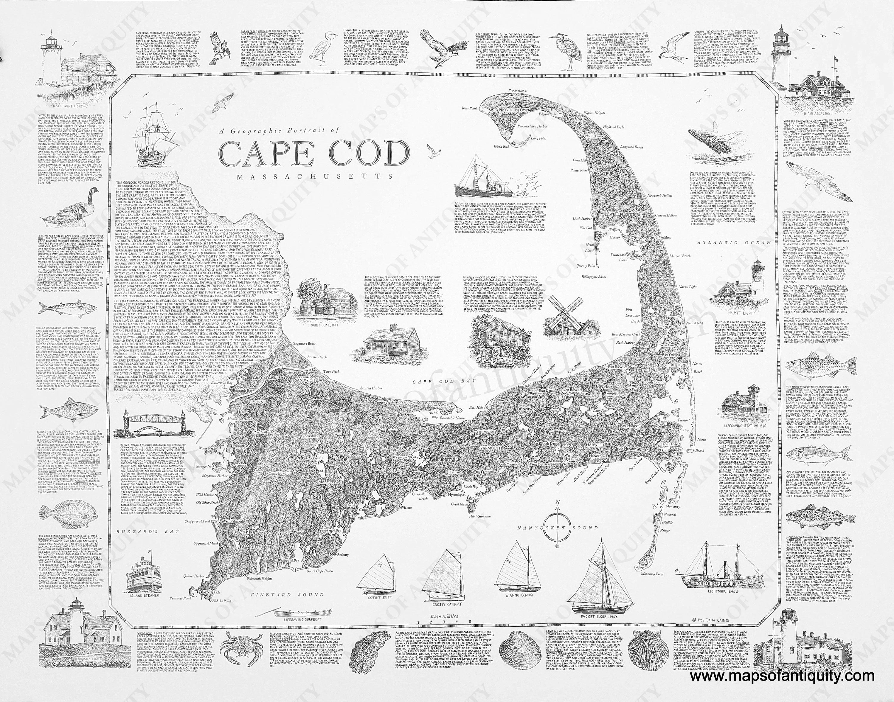 Cape Cod Geographic A Geographic Portrait of Cape Cod Massachusetts - Modern – Maps of ...