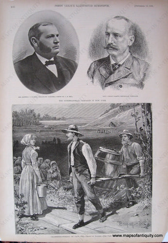 Black-and-White-Antique-Illustration-Cranberry-Picking-on-Cape-Cod-US-Massachusetts-Cape-Cod-and-Islands-1891-Harper's-Weekly-Maps-Of-Antiquity