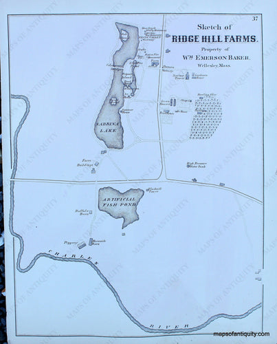 Antique-Hand-Colored-Map-Sketch-of-Ridge-Hill-Farms.-(MA)-Massachusetts-Norfolk-County-MA-1876-Comstock-&-Cline-Maps-Of-Antiquity