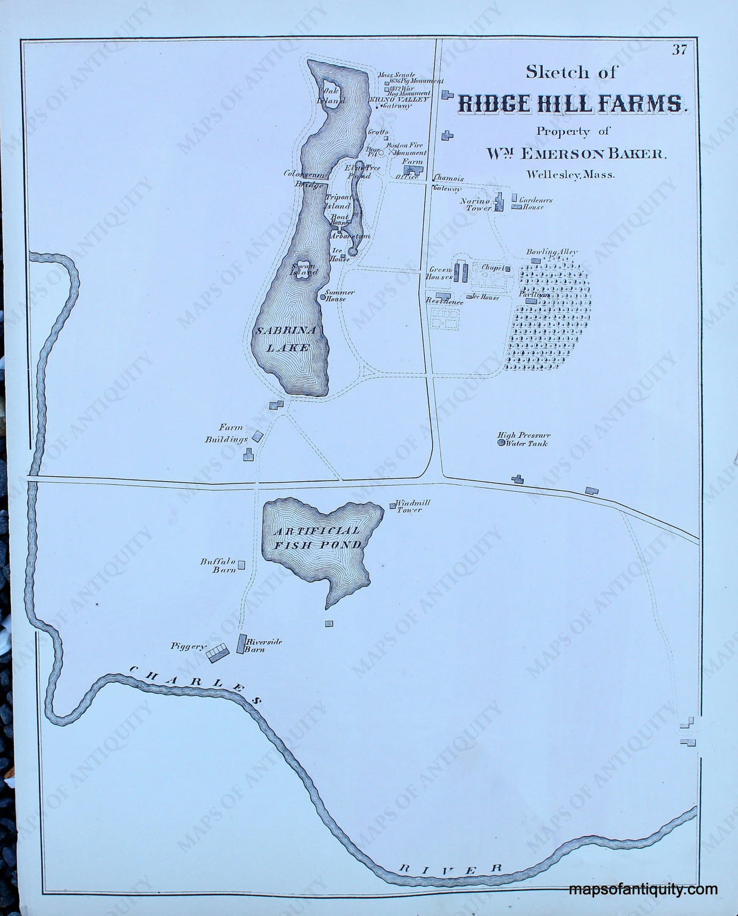 Antique-Hand-Colored-Map-Sketch-of-Ridge-Hill-Farms.-(MA)-Massachusetts-Norfolk-County-MA-1876-Comstock-&-Cline-Maps-Of-Antiquity