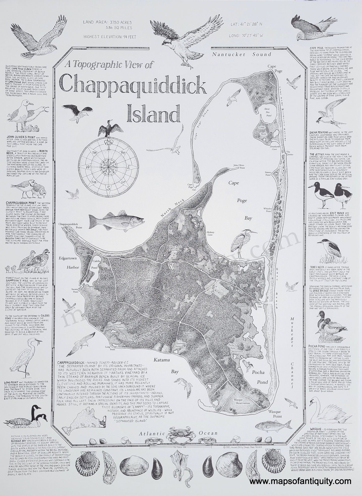 Graphic Map of Chappaquiddick Island, part of Martha's Vineyard. Black and white with decorative compass, border decorated with local birds and shellfish, text relating to notable sites and local specialties.