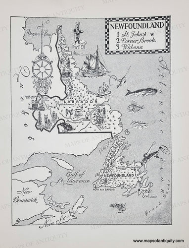 Genuine-Vintage-Map-Newfoundland-1954-J-B-Lippincott-Company-Maps-Of-Antiquity