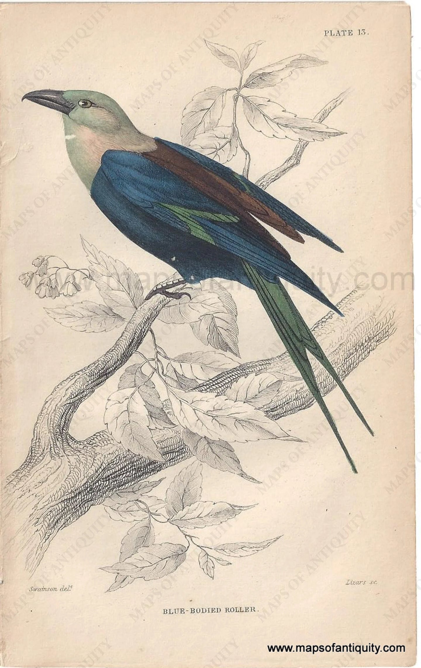 Genuine-Antique-Print-Blue-bodied-Roller-1840-Jardine-Lizars-Maps-Of-Antiquity