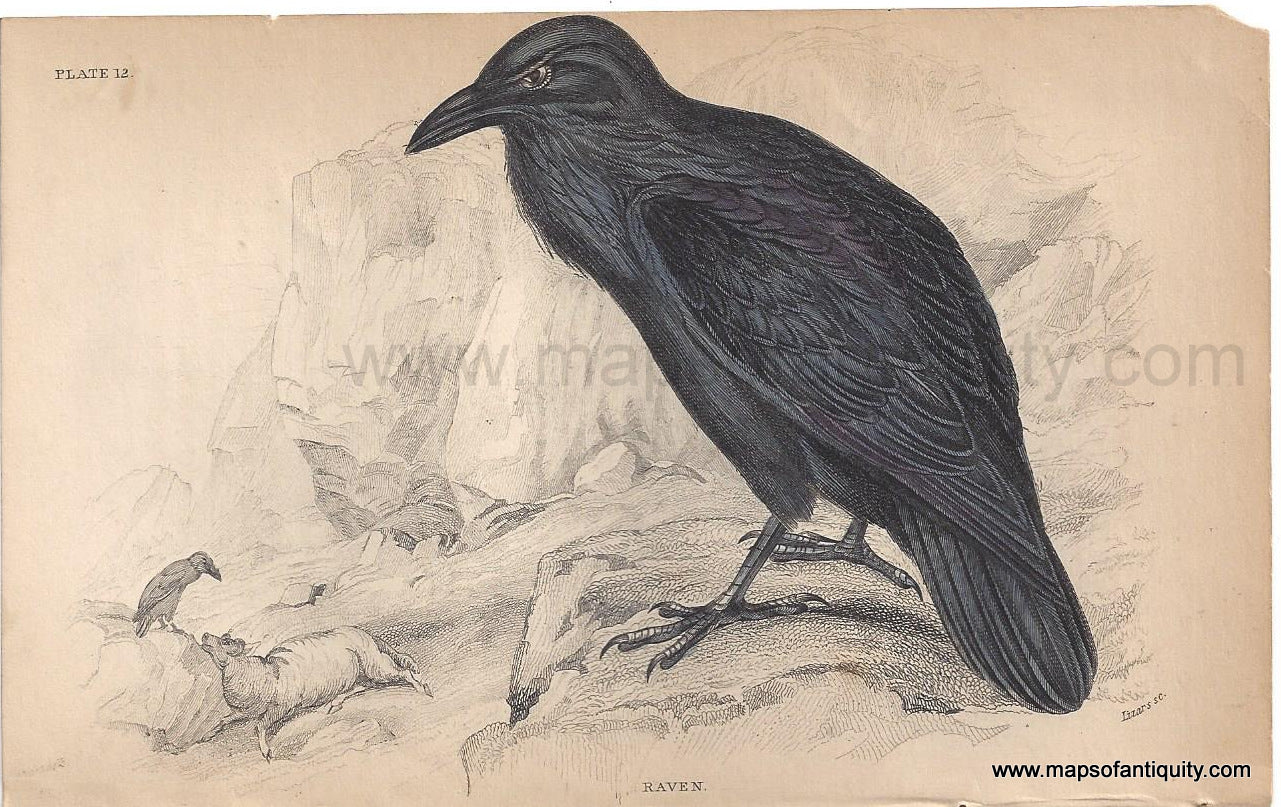 Genuine-Antique-Print-Raven-1840-Jardine-Lizars-Maps-Of-Antiquity